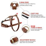 Rottie Leather Harness