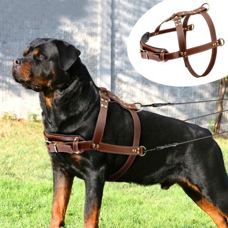 Rottie Leather Harness