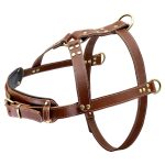 Rottie Leather Harness