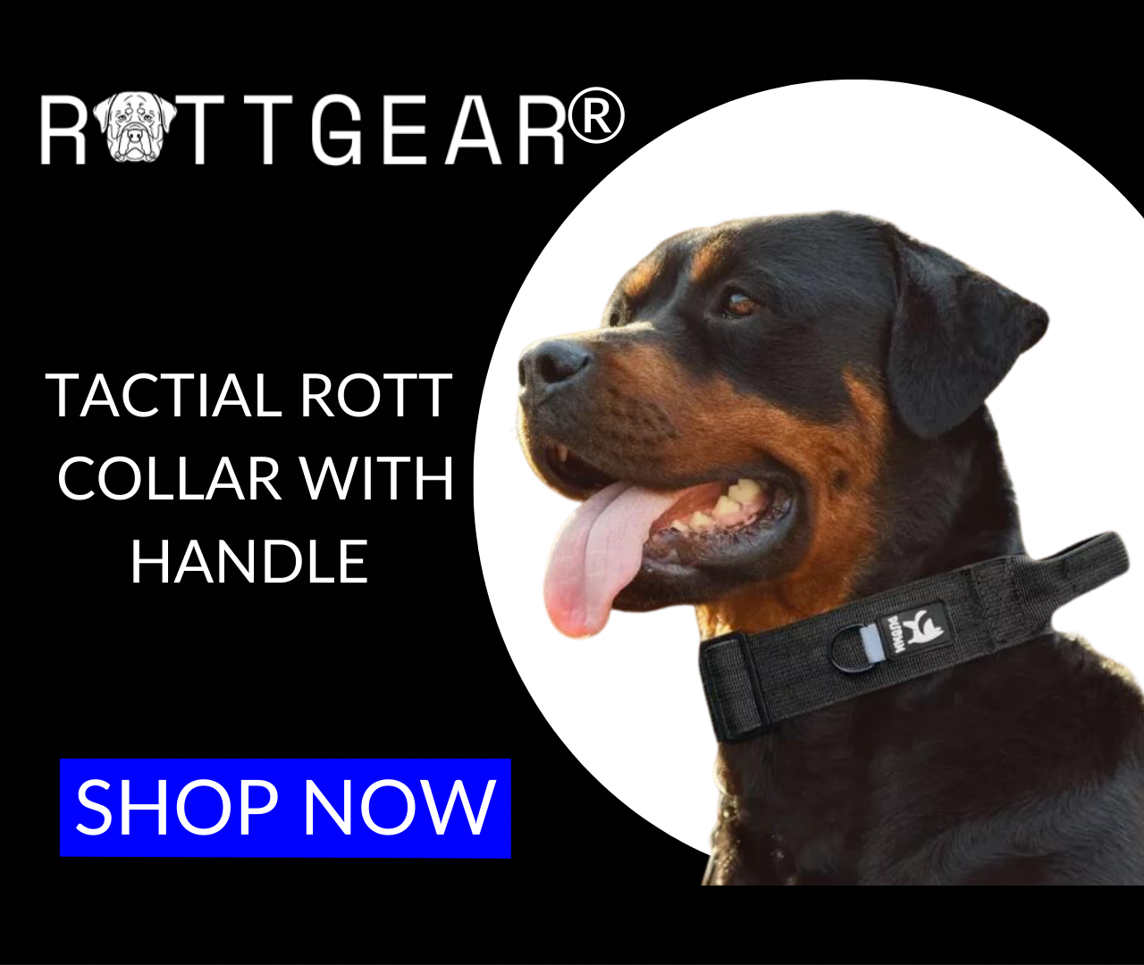 ROTTGEAR® TACTIAL ROTTWEILER COLLAR (3)