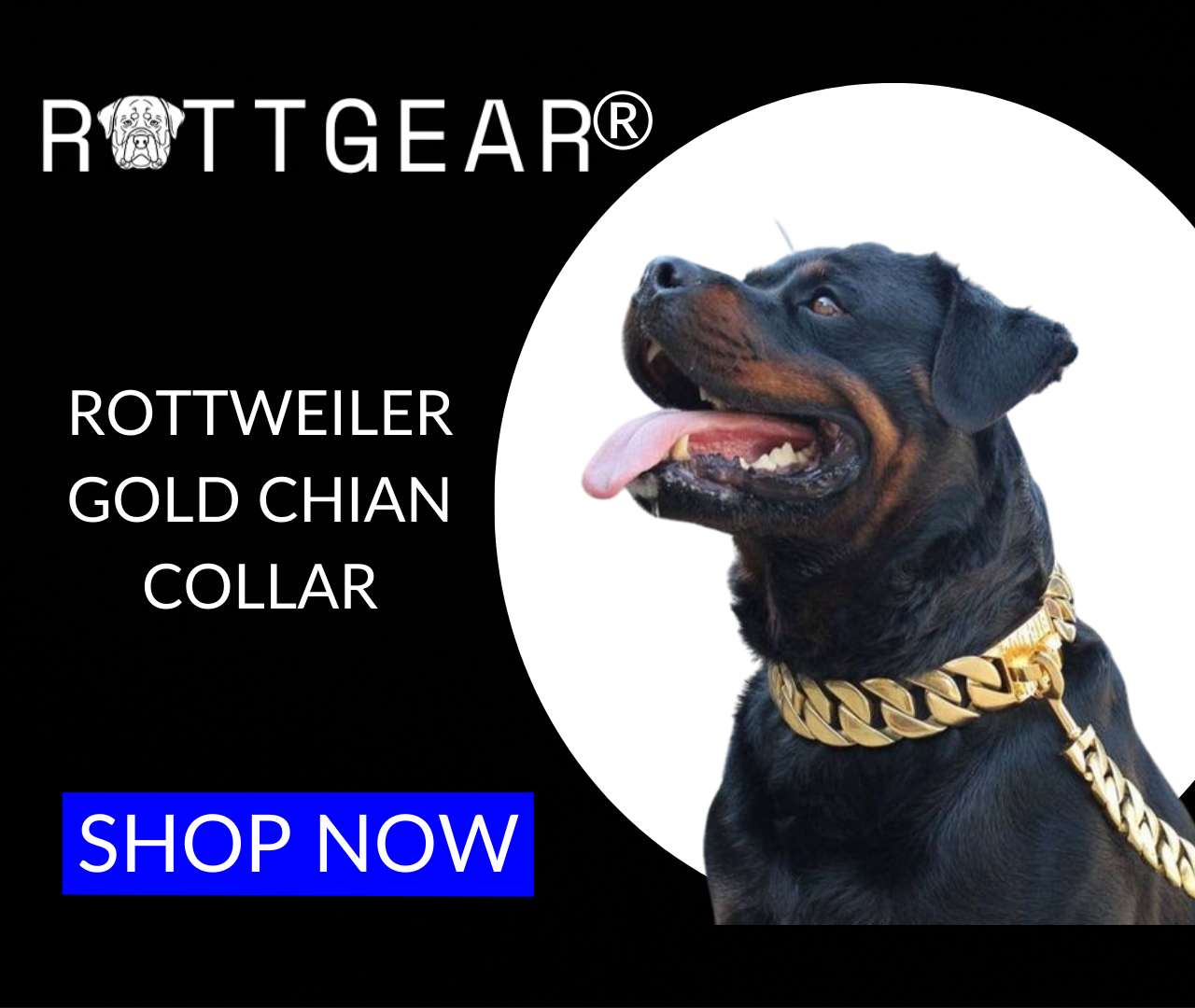 ROTTGEAR® TACTIAL ROTTWEILER GOLD CHAIN COLLAR