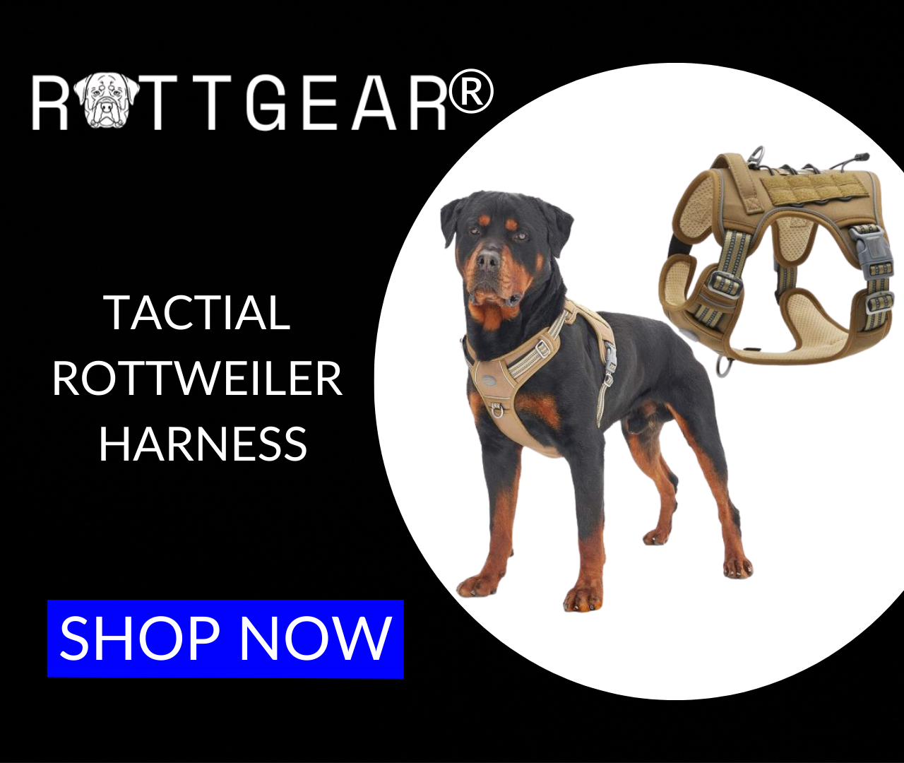 ROTTGEAR® TACTIAL ROTTWEILER HARNESS (1)