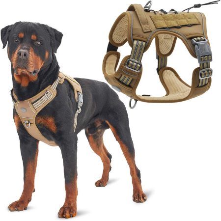 Tactical Rottweiler Harness