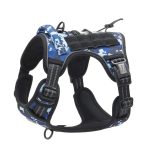 Blue Harness