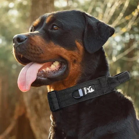 Military Tactical Rott Collar with Handle