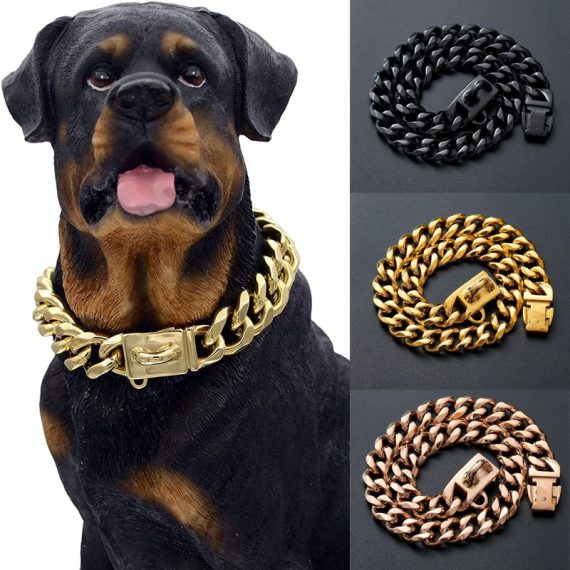 Rottweiler Gold Chain Collar