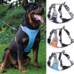 Reflective Adjustable Rott Harnes