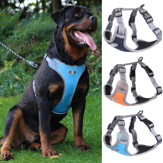 Reflective Adjustable Rott Harnes