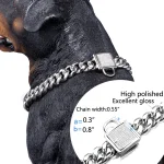 **Top Rottweiler Luxury Chain Collar