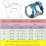 Reflective Safety Rottweiler Harness