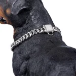 **Top Rottweiler Luxury Chain Collar