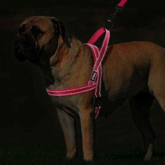 No Pull Reflective Rottie Harness with Leash Set