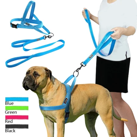 No Pull Reflective Rottie Harness with Leash Set