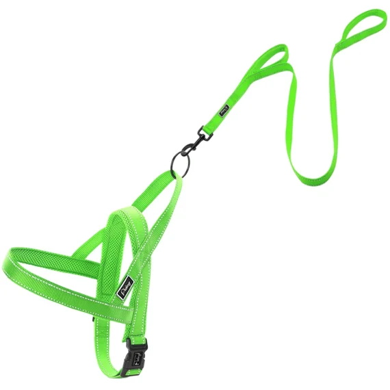 No Pull Reflective Rottie Harness with Leash Set