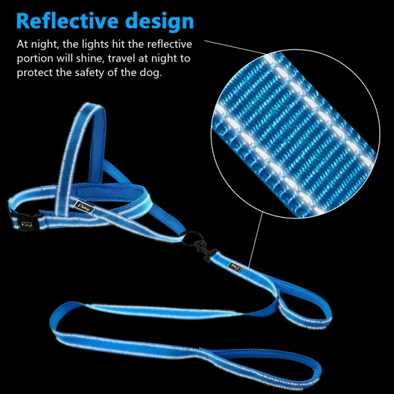 No Pull Reflective Rottie Harness with Leash Set