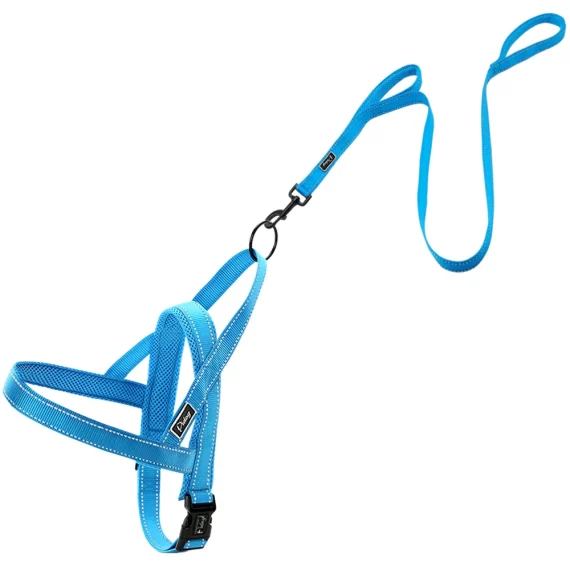 No Pull Reflective Rottie Harness with Leash Set