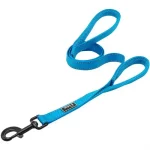 Blue Leash