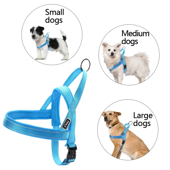 No Pull Reflective Rottie Harness with Leash Set