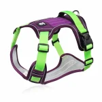 Reflective Safety Rottweiler Harness