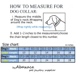 **Top Rottweiler Luxury Chain Collar