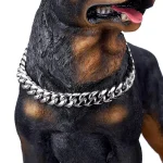 **Top Rottweiler Luxury Chain Collar