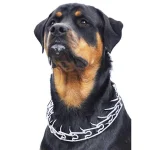 Ultimate Control Prong Collar for Rottweilers