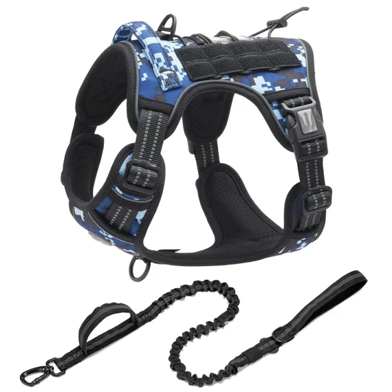 Training No Pull Rottweiler Harness