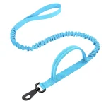 Blue Leash