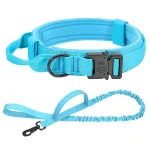 Tactical Dog Collar Leash Set