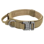 Tactical Dog Collar Leash Set