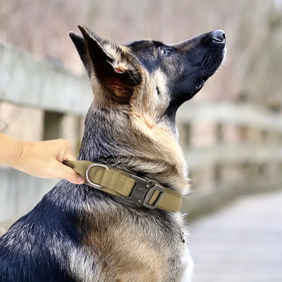 Tactical Dog Collar Leash Set