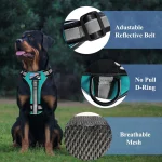 Rottweiler Personalised ReflectaSet Harness