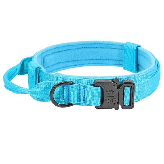 Tactical Dog Collar Leash Set