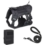 Black Harness + Leash + Bag Set