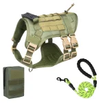 Green Harness + Leash + Bag Set