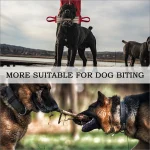 Rottweiler Bite Training Set