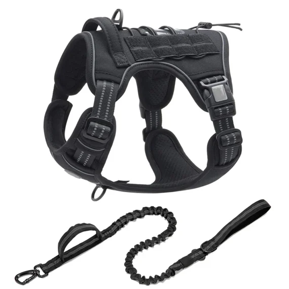 Training No Pull Rottweiler Harness