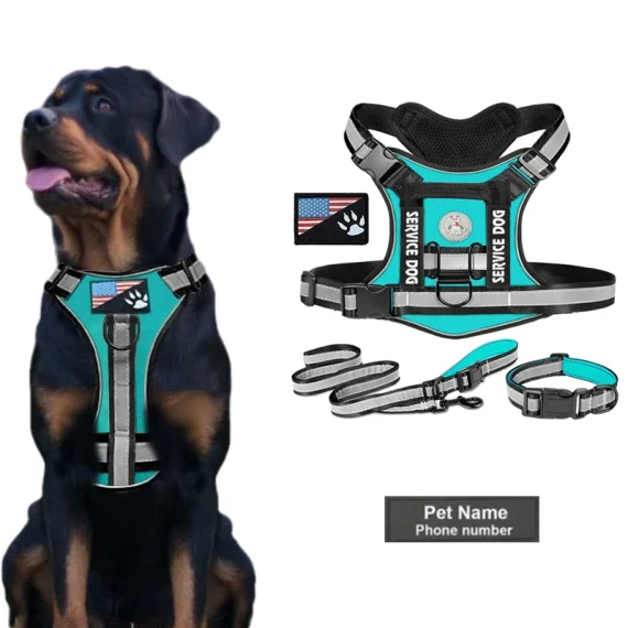 Rottweiler Personalised ReflectaSet Harness