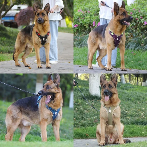 Reflective Safety Rottweiler Harness