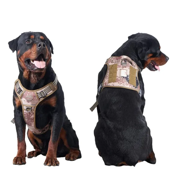 Training No Pull Rottweiler Harness