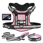 Rottweiler Personalised ReflectaSet Harness