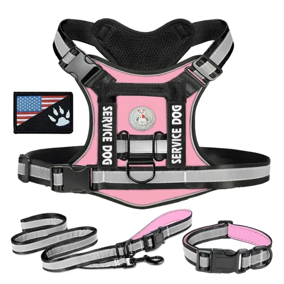 Rottweiler Personalised ReflectaSet Harness