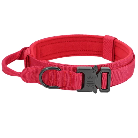 Tactical Dog Collar Leash Set